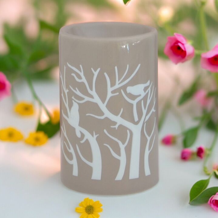 Brule Parfum Treebee