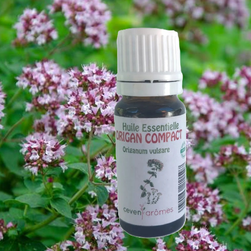 Huile Essentielle d'Origan HEBBD 10ml - Zenencens