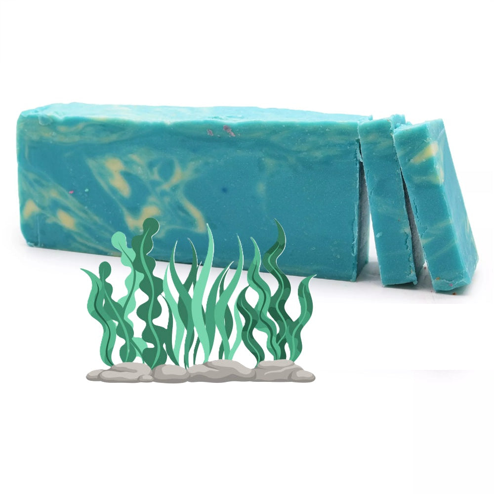 Savon Artisinal Algue Marine et Huiles Végétales