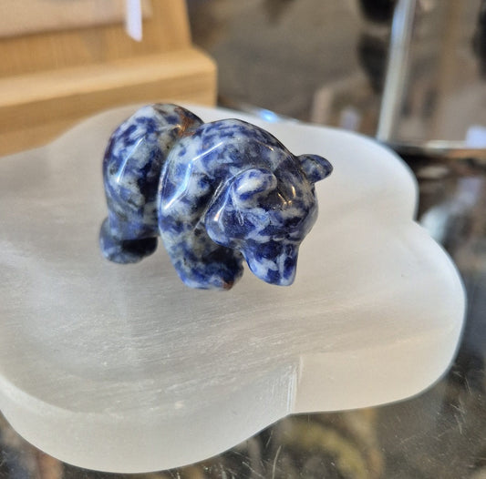 Ours Jaspe Blue Spot