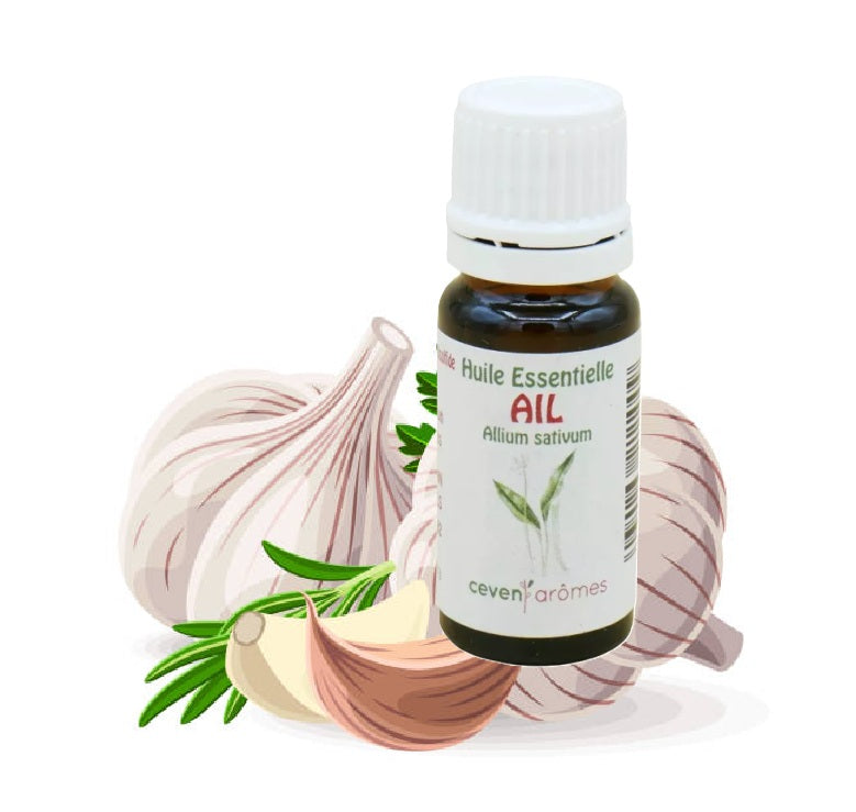 Ail Huile Essentielle HEBBD 10ml - Zenencens