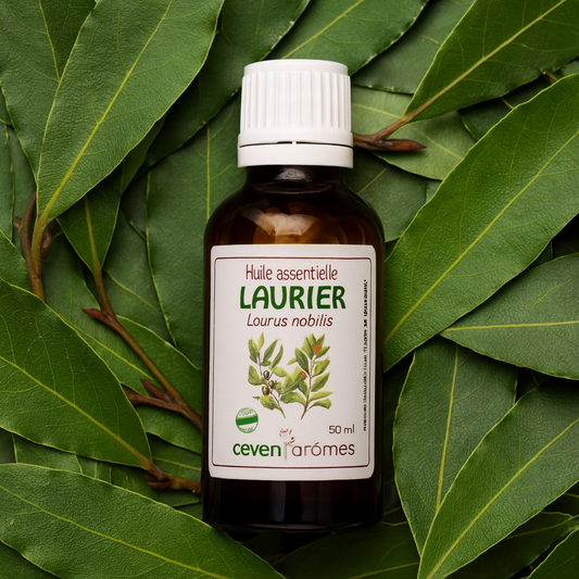Laurier Huile Essentielle HEBBD 50ml