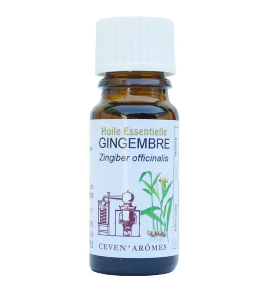Gingembre Huile Essentielle HEBBD 10ml