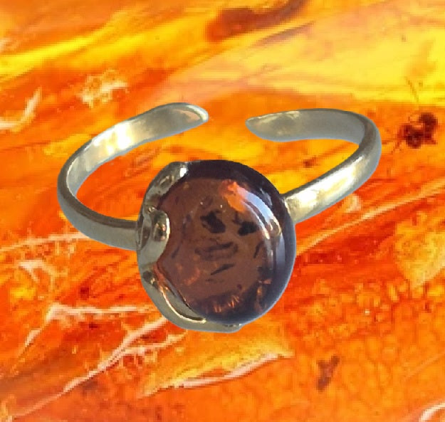 Zenencens