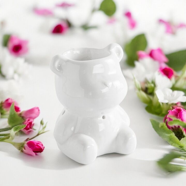 Brule Parfum Teddy