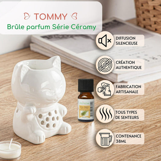 Brule Parfum Tommy