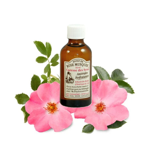 Huile De Rose Musquee - Zenencens