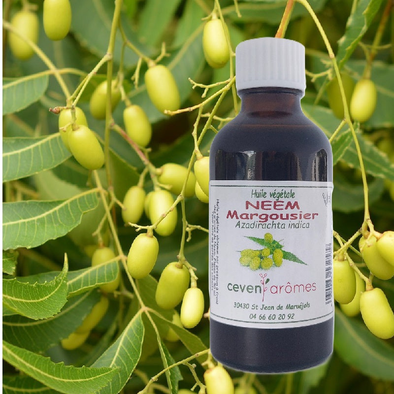 Huile de Neem 50ml - Zenencens