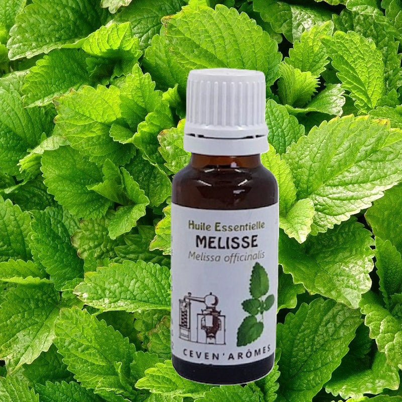 Huile Essentielle Melisse HEBBD 3ml - Zenencens