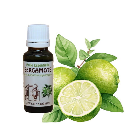Bergamote Huile Essentielle HEBBD 20ml - Zenencens