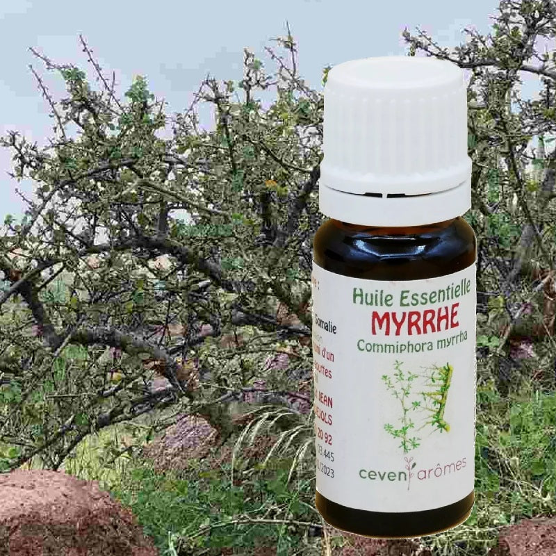Huile Essentielle Myrrhe HEBBD 10ml - Zenencens