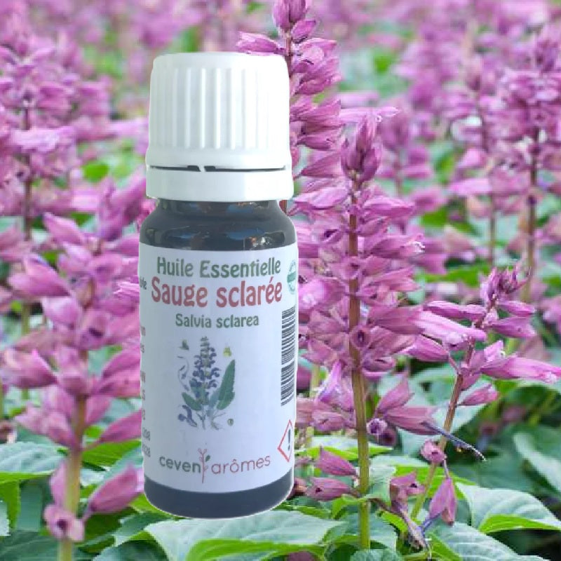 Sauge Sclarée Huile Essentielle HEBBD 10ml - Zenencens