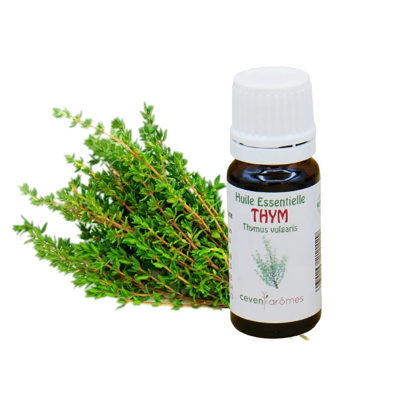 Thym Huile Essentielle HEBBD 10ml - Zenencens