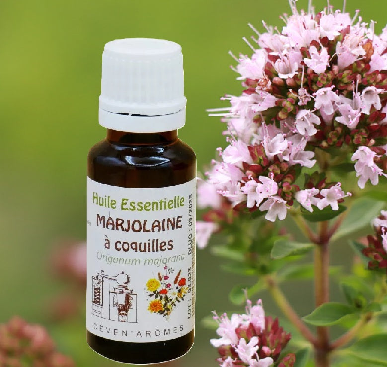 Marjolaine à Coquilles Huile Essentielle HEBBD 20ml - Zenencens