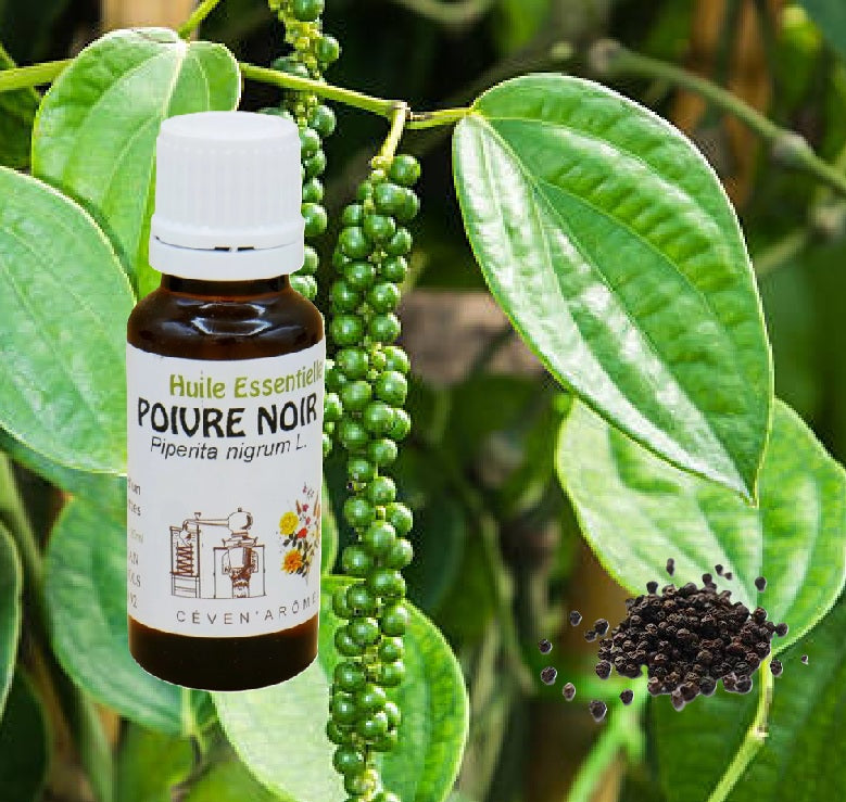 Poivre Noir Huile Essentielle HEBBD 20ml - Zenencens