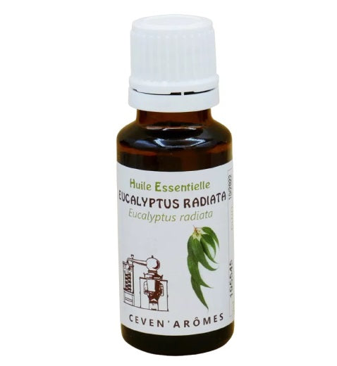 Eucalyptus Radiata Huile Essentielle HEBBD 20ml