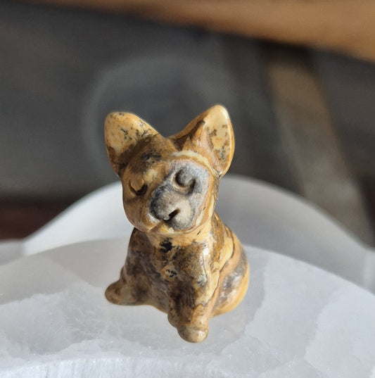 Figurine Mini Bulldog Picture Jasper