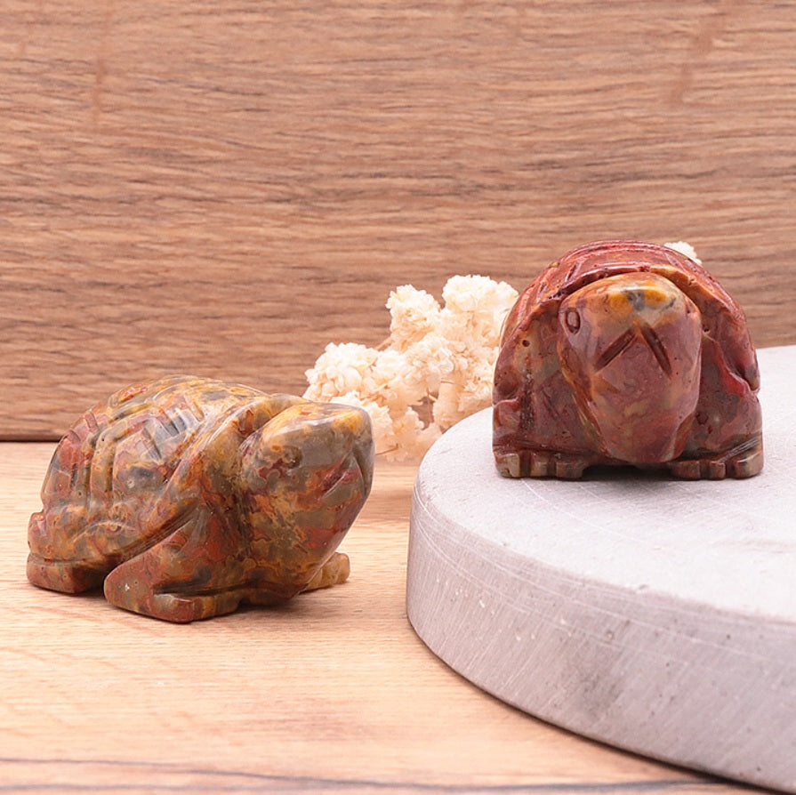 Figurine Tortue Agate Crazy Lace - Zenencens