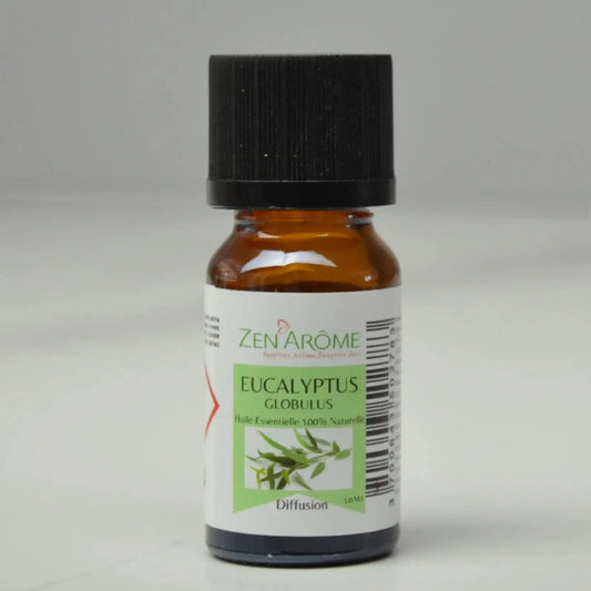 Huile Essentielle Eucalyptus Globulus - SHOPHORSE