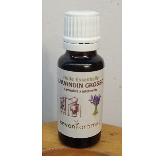Lavandin Grosso Huile Essentielle HEBBD 20ml