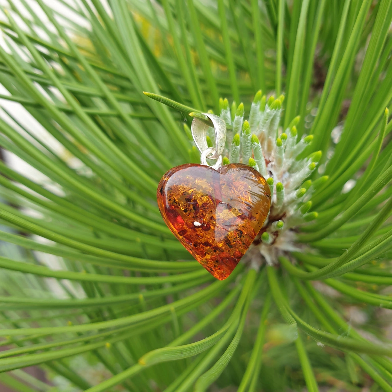 Pendentif Coeur en Ambre Baltique - Zenencens