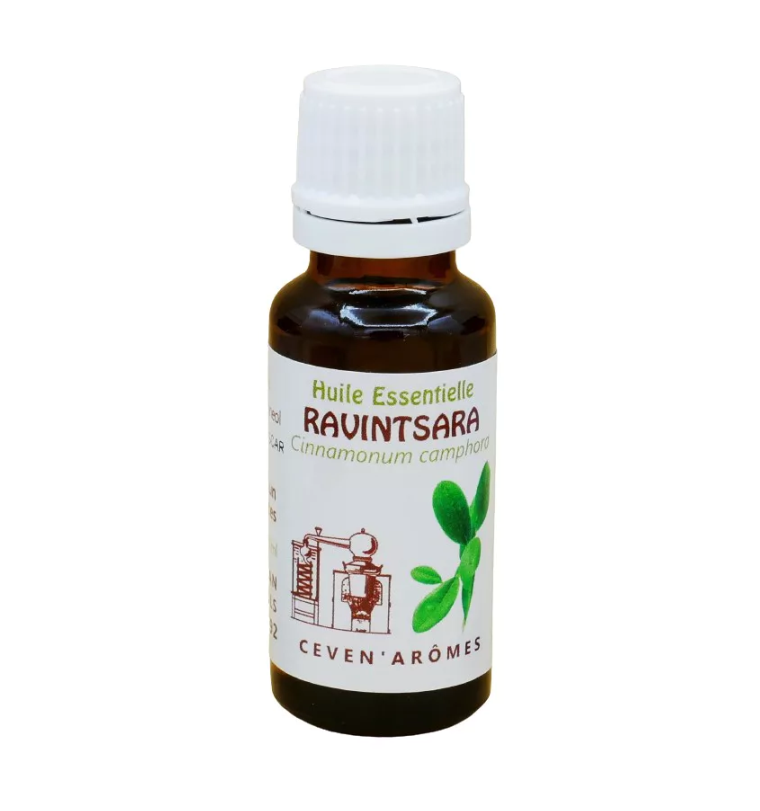 Ravintsara Essentielle HEBBD 20ml