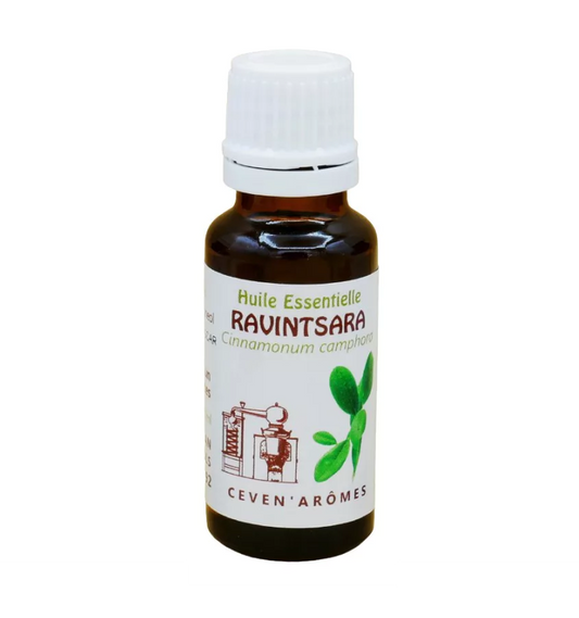 Ravintsara Essentielle HEBBD 20ml