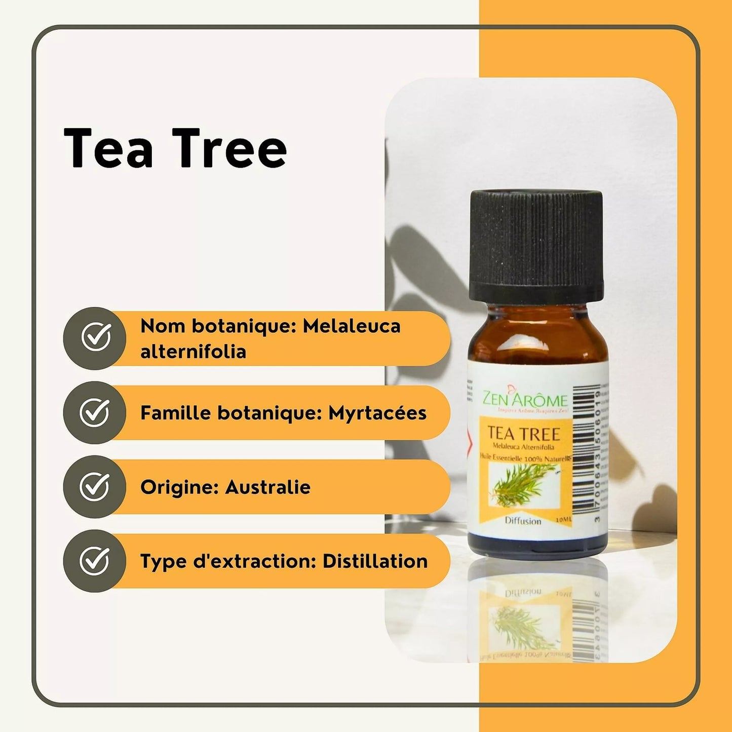 Huile Essentielle Arbre à Thé