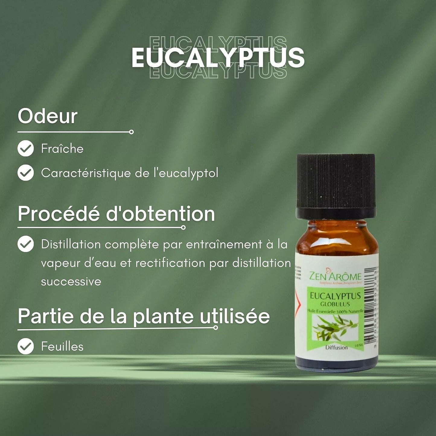 Huile Essentielle Eucalyptus Globulus
