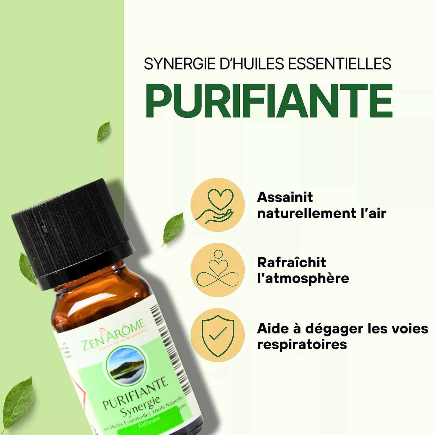 Synergie d'Huiles Essentielles Purifiante