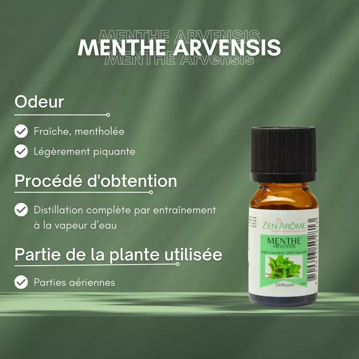 Huile Essentielle Menthe Arvensis