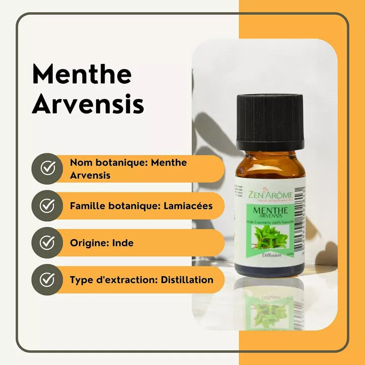 Huile Essentielle Menthe Arvensis